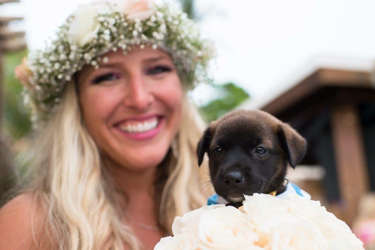 Aruba weddings, aruba animal rescue, aruba animal shelter, wedding photography, destination wedding, one happy island