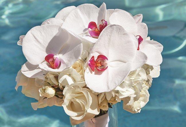 Aruba Wedding bouquet by Shar Chatram flowershop: White roses, hydrangeas, phalaenopsis orchids