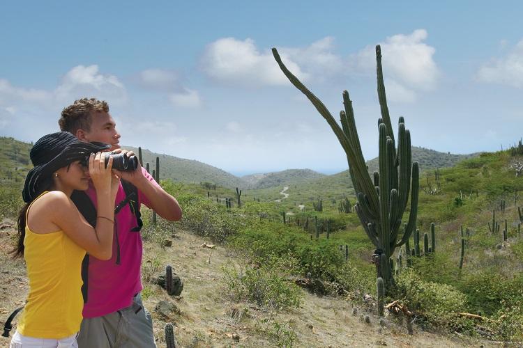 Aruba Romantic Activities for Two | Aruba National Park Picnic | Beach Brides