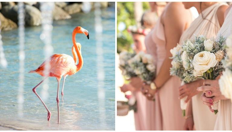 Aruba Weddings | Aruba Destination Wedding | Renaissance Island | Aruba Beach Brides  