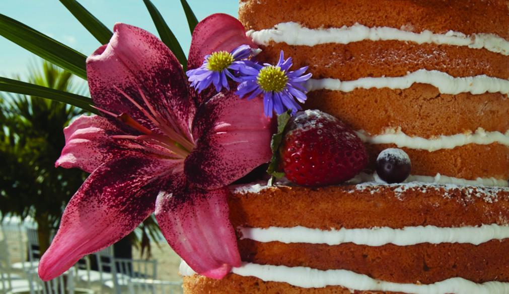 Aruba wedding trending naked cake 