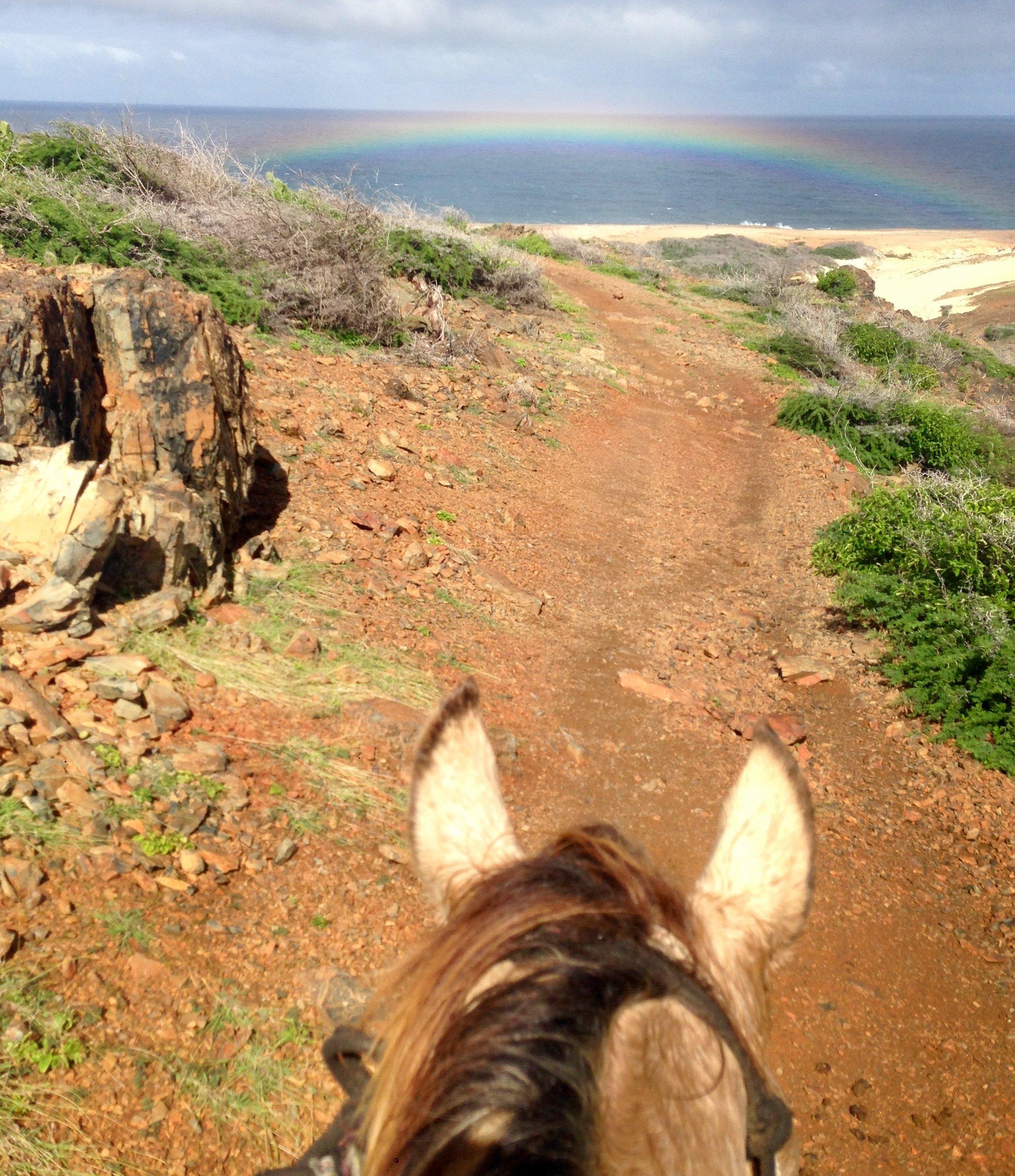 aruba, things to do, wedding, honeymoon, travel, one happy island, adventure